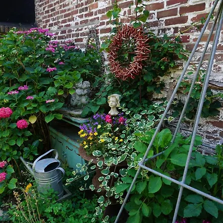 Bed and breakfast De Bezige Bij 3*