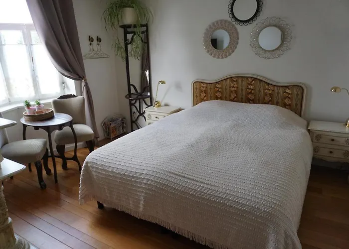 فندق مبيت وإفطار De Bezige Bij 3*